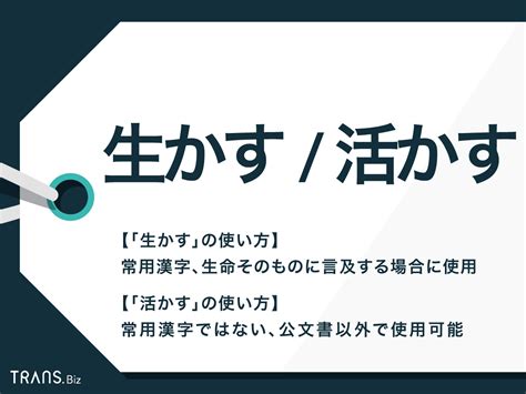 「生かす」と「活かす」の違いと使い分けを例文つきで解説